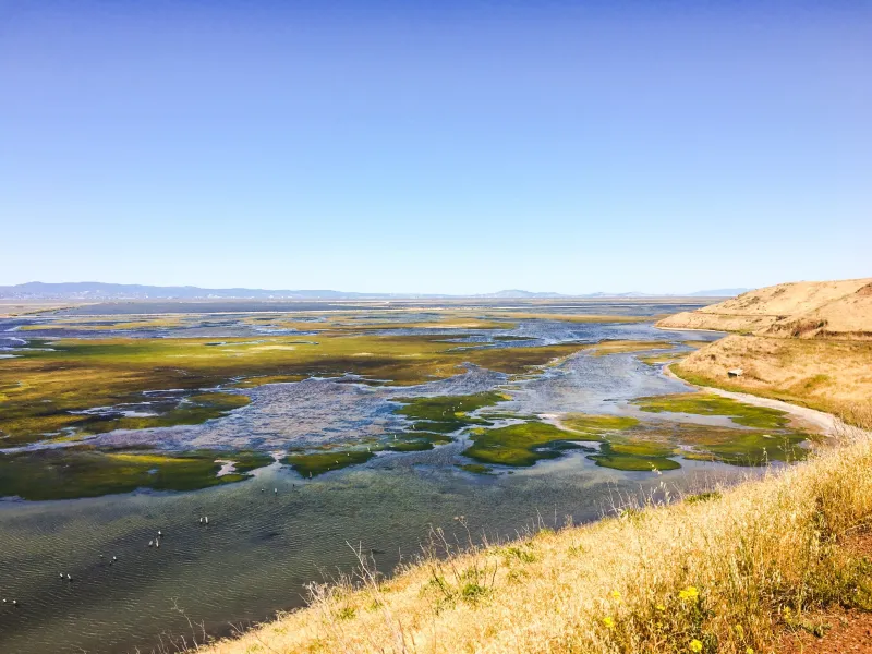 Coyote Hills Regional Park