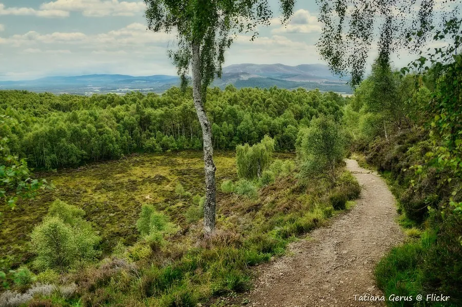 Craigellachie Cairn