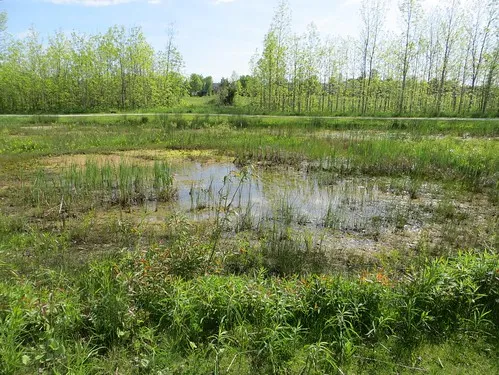 Cranberry Golf Resort