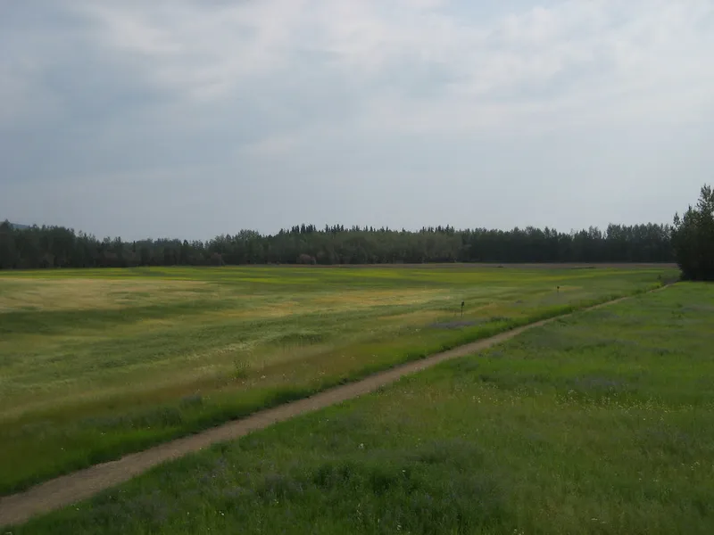 Creamer's Field Migratory Waterfowl Refuge
