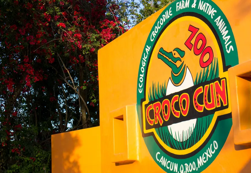Croco Cun Zoo