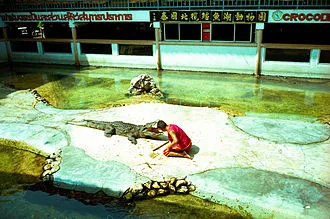 Crocodile Farm