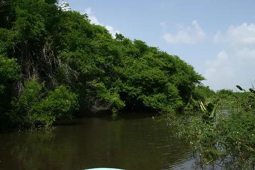 Crooked Tree Wildlife Sanctuary