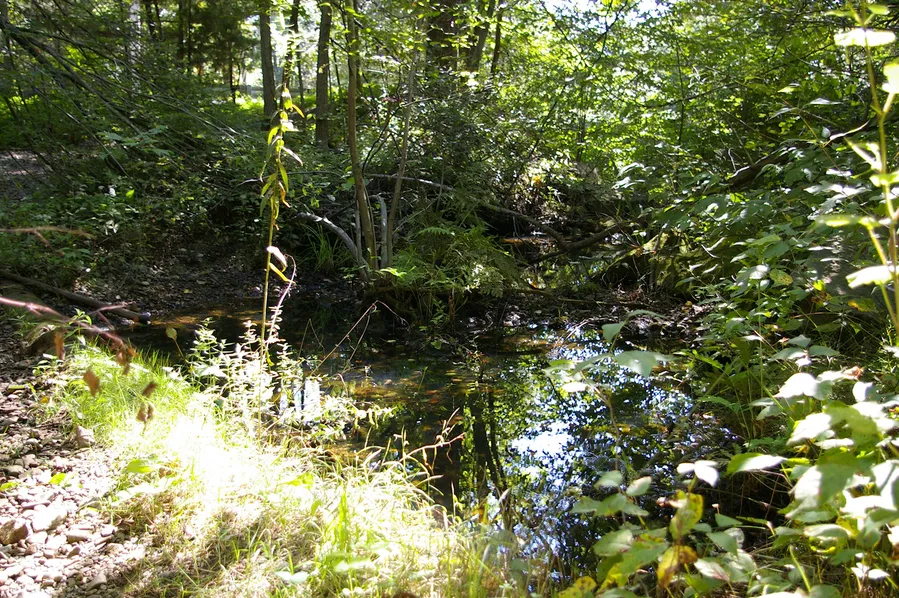 Crystal River Archaeological State Park