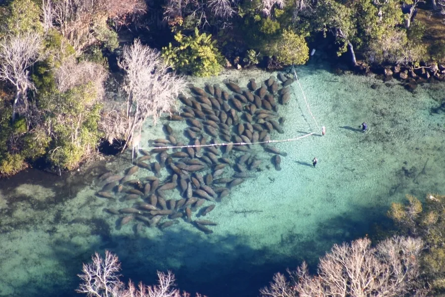 Crystal River National Wildlife Refuge