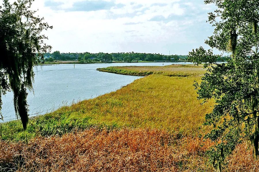 Crystal River Preserve State Park