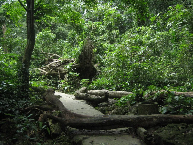 Cuc Phuong National Park