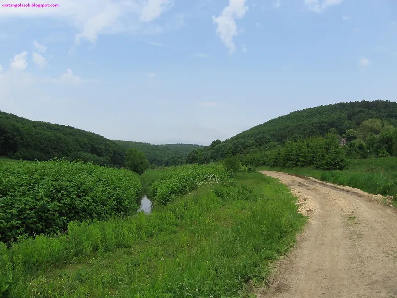 Cuha Valley
