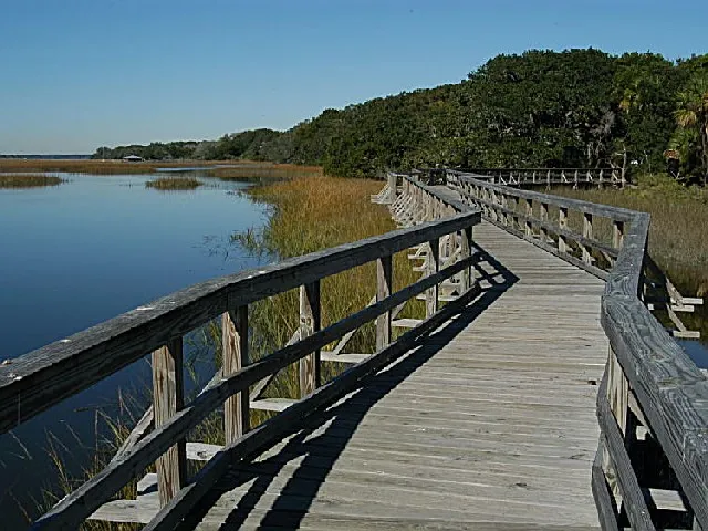 Cumberland Island National Seashore