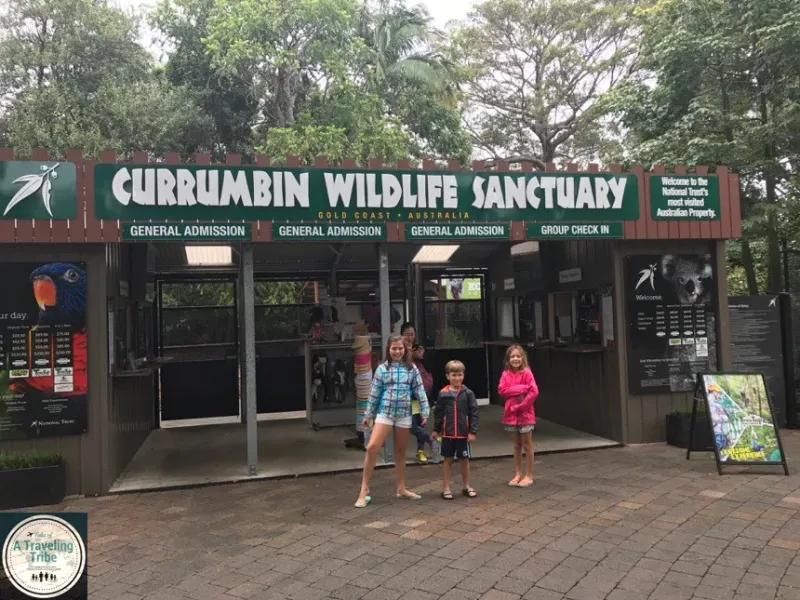Currumbin Wildlife Sanctuary