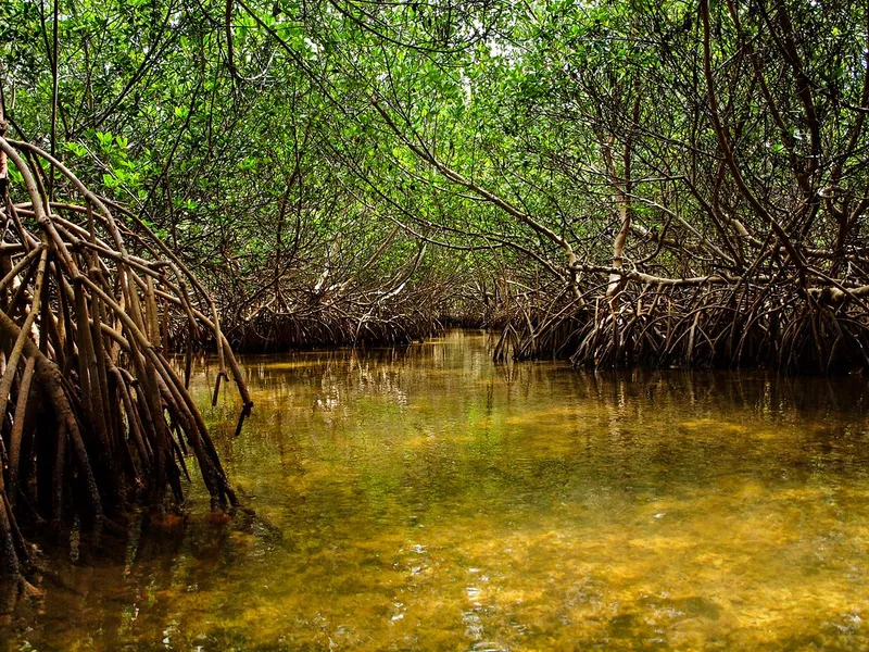 Curry Hammock State Park
