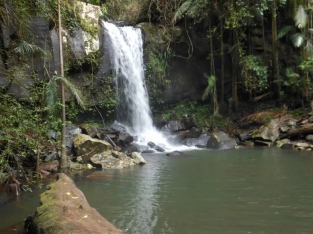 Curtis Falls