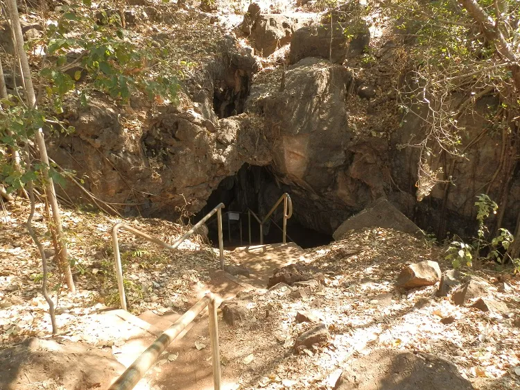 Cutta Cutta Caves Nature Park