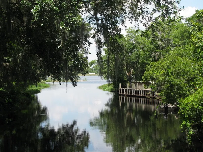 Cypress Creek Natural Area