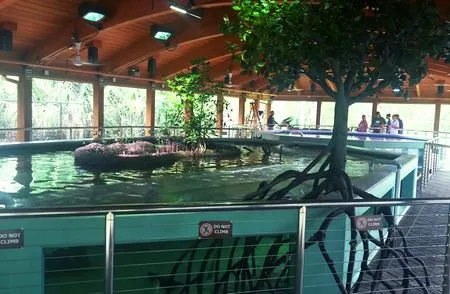 Daggerwing Nature Center