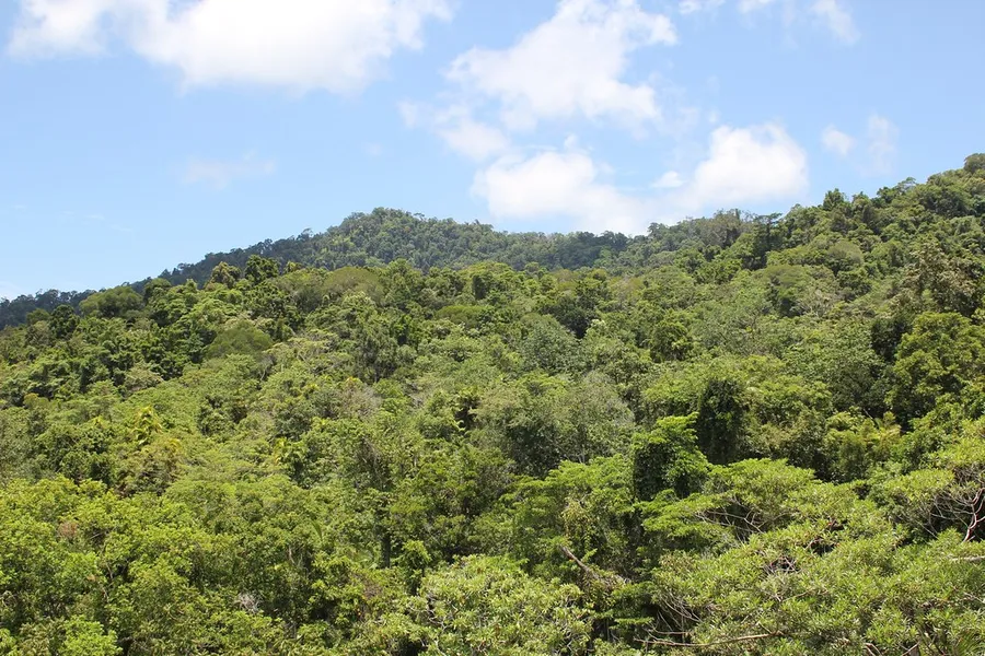 Daintree Discovery Centre