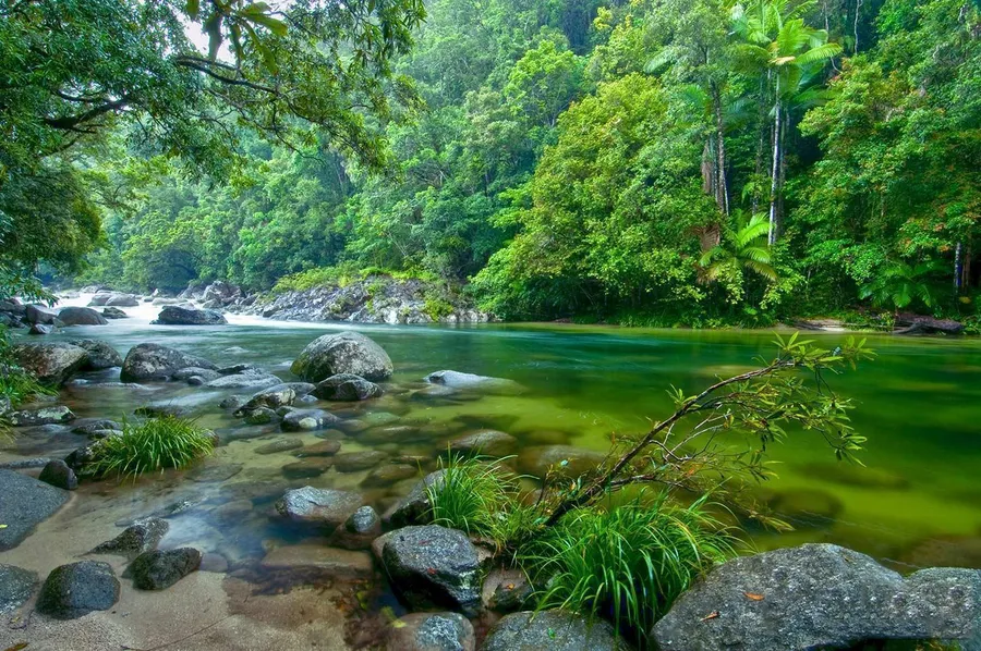 Daintree National Park