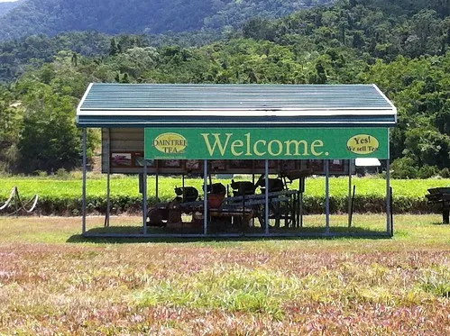 Daintree Teahouse