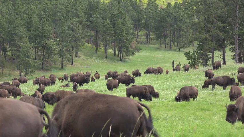 Dakota Nature Park