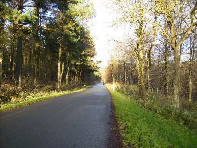 Dalby Forest