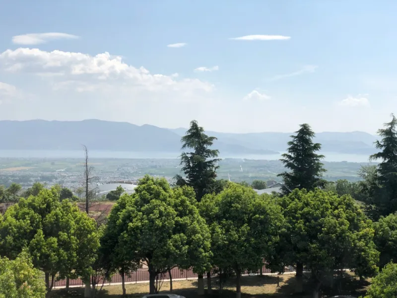Dali University