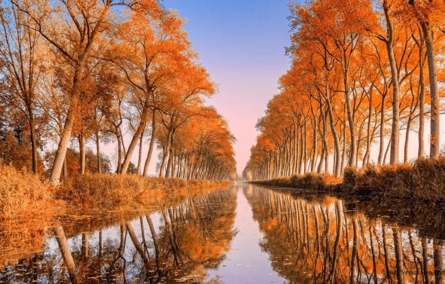 Damme Canal