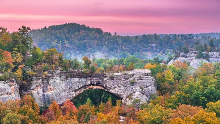 Daniel Boone National Forest