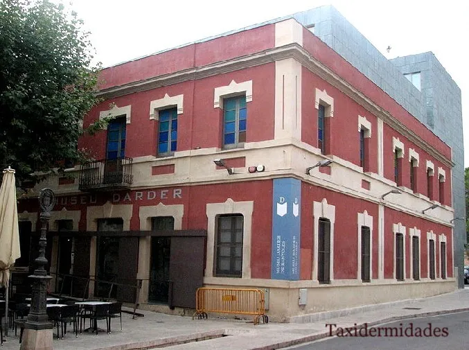 Darder Museum