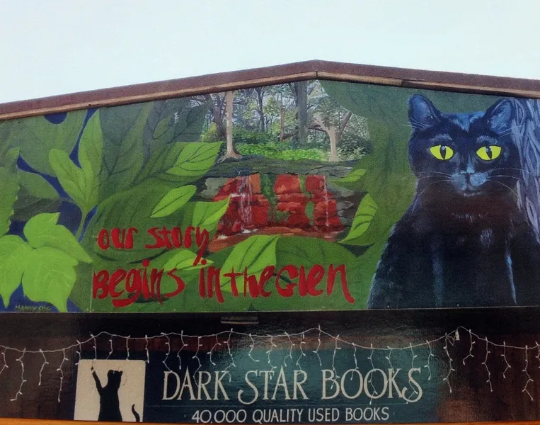 Dark Star Books