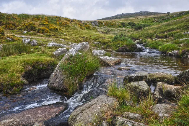 Dartmoor National Park