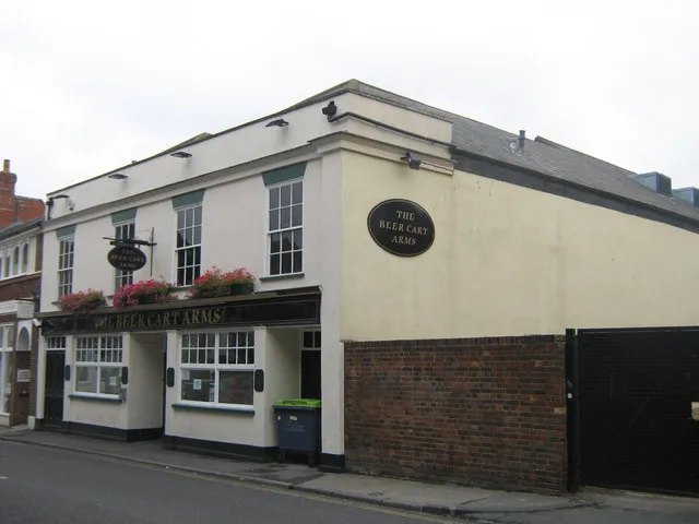 David Arms Gallery