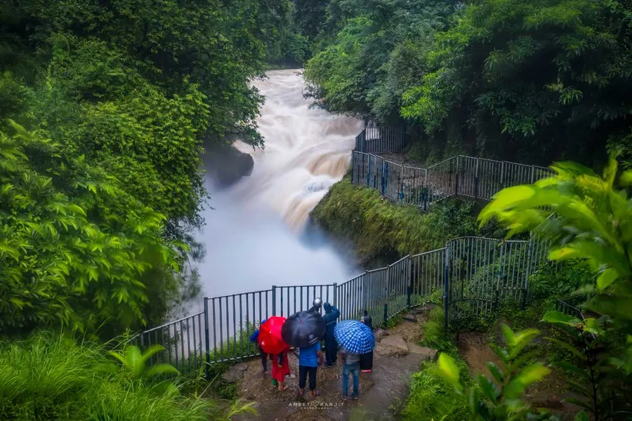 Davis Falls