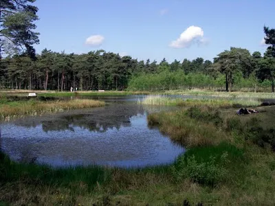 De Hoge Veluwe National Park