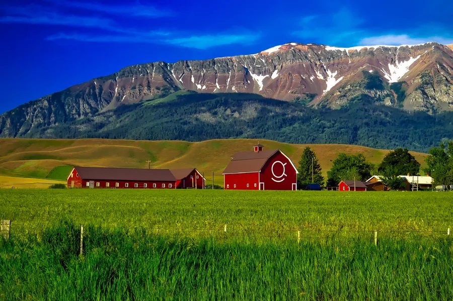 DeGrandchamp Farms