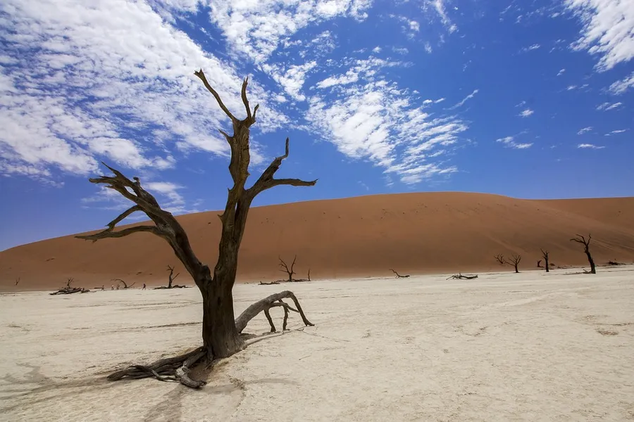 Deadvlei