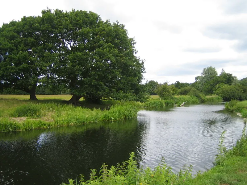 Dedham Vale