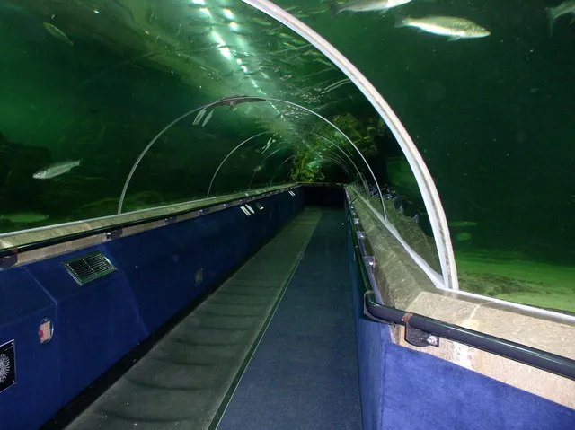 Deep Sea World