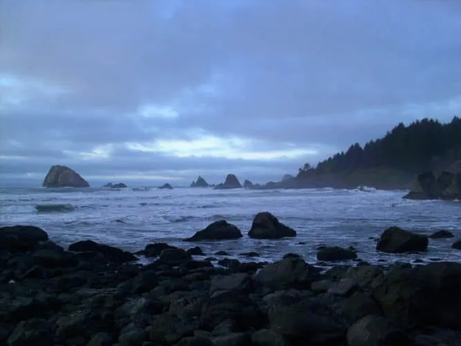 Del Norte Coast Redwoods State Park