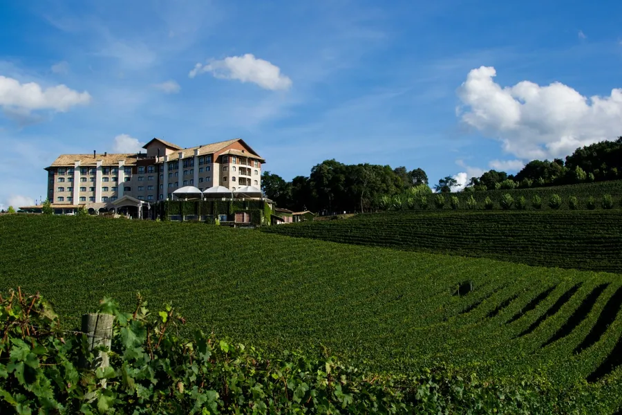 Del Rio Vineyards & Winery