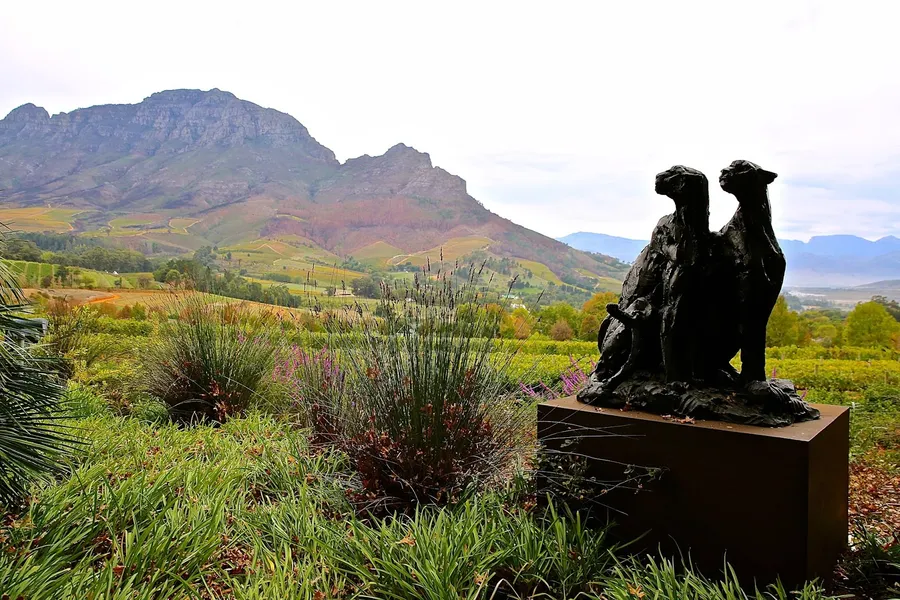 Delaire Graff Estate