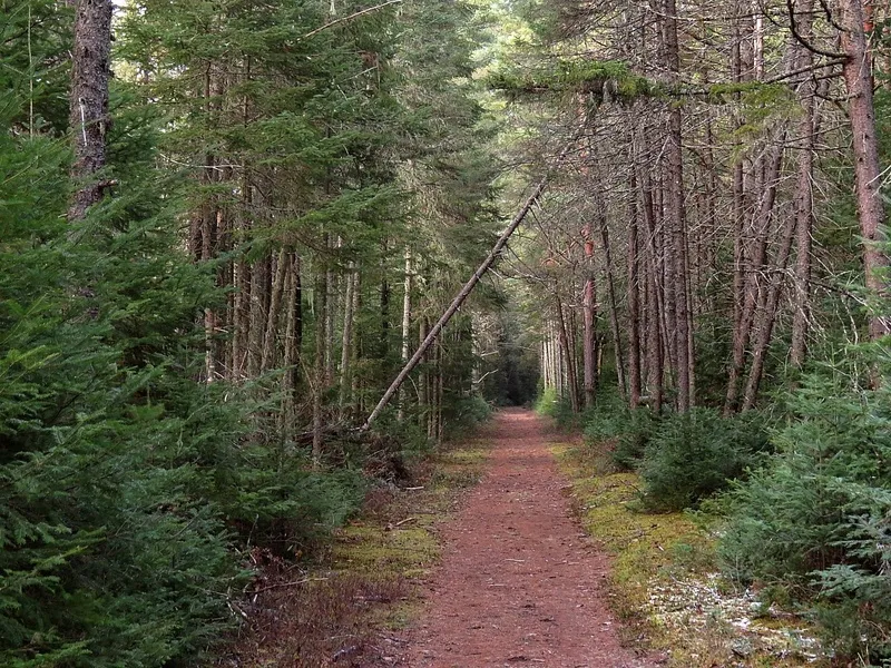 Delaware and Hudson Rail Trail