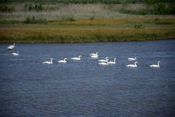 Delta Evros National Park