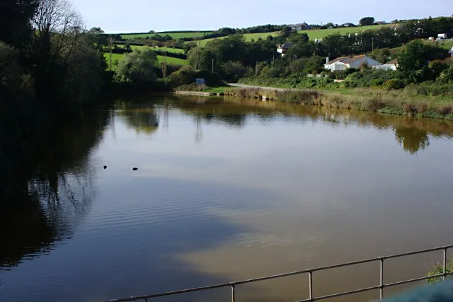 Dennis Cove