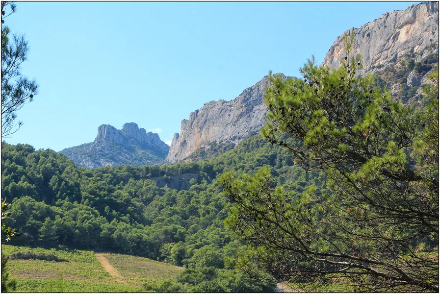 Dentelles de Montmirail