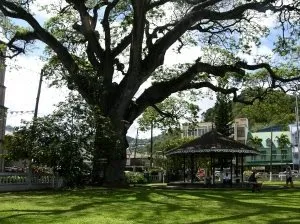 Derek Walcott Square