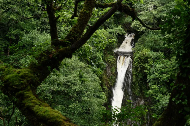 Devil's Bridge Falls