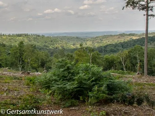 Devil's Punchbowl Conservation Area