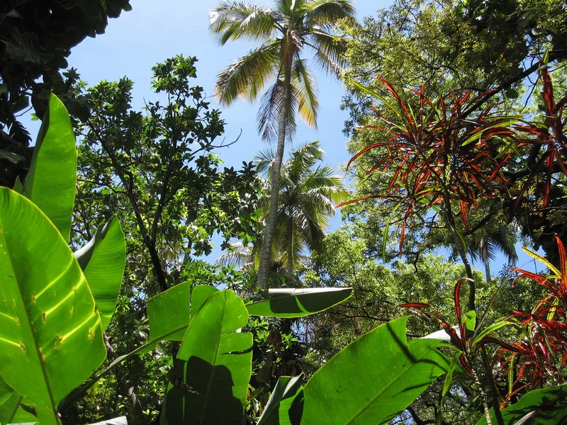 Diamond Botanical Gardens