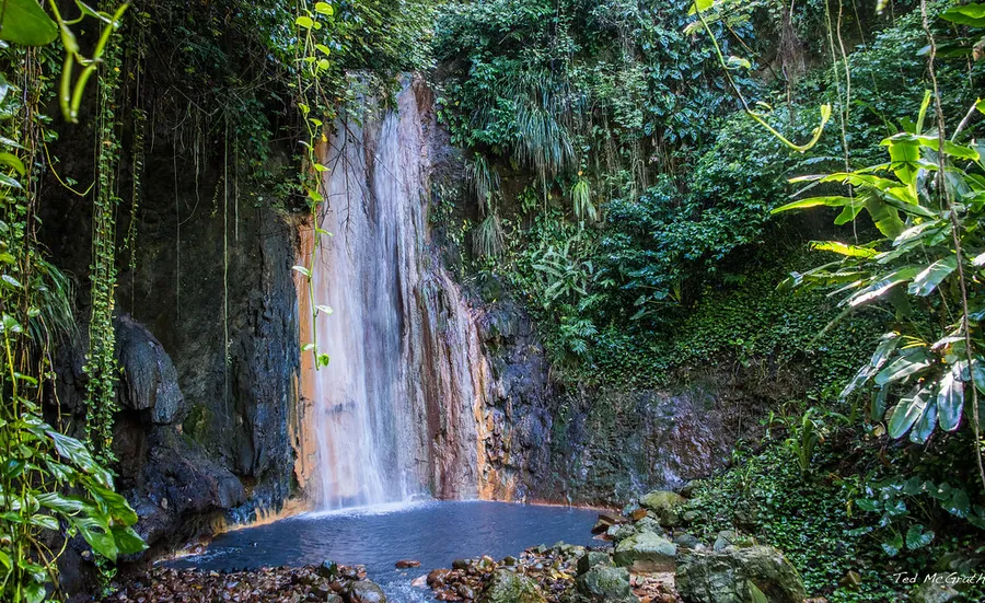 Diamond Falls Botanical Gardens