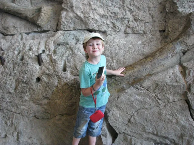 Dinosaur Experience
